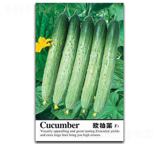 歐柏萊-黃瓜種子-鑫園世家