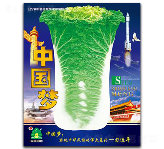 中國夢(mèng)-白菜種子-鑫園世家