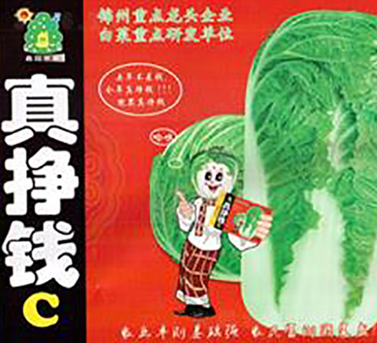 真掙錢(qián)C-白菜種子-鑫園世家