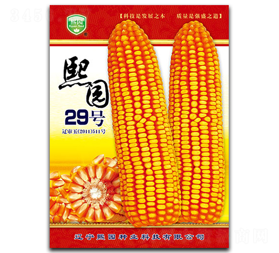 熙園29號(hào)-玉米種子-熙園種業(yè)