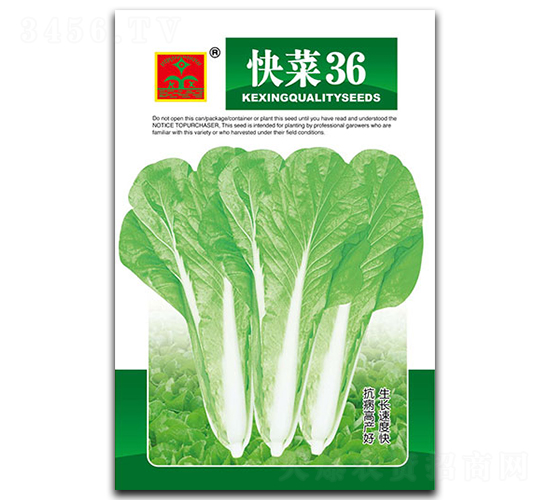 快菜36-葉菜種子-科興種業(yè)