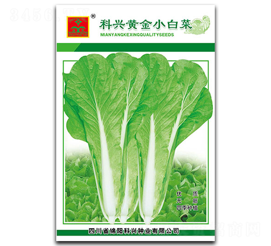 黃金小白菜-葉菜種子-科興種業(yè)