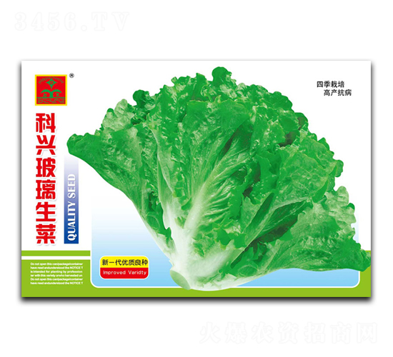 科興玻璃生菜-葉菜種子-科興種業(yè)