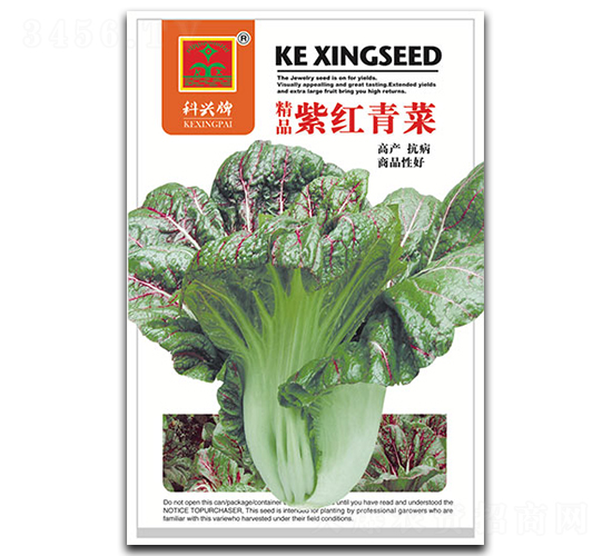 紫紅青菜-葉菜種子-科興種業(yè)