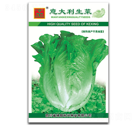 意大利生菜-葉菜種子-科興種業(yè)