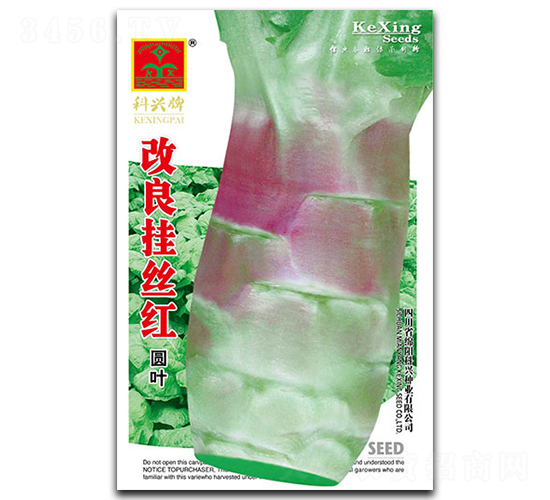 改良掛絲紅-萵筍種子-科興種業(yè)