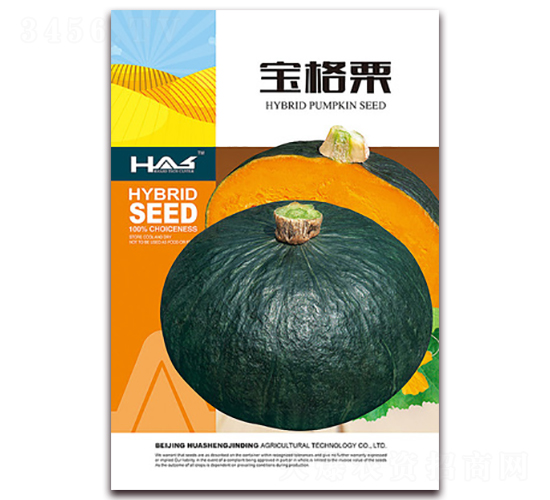 寶格栗-南瓜種子-鑫博大