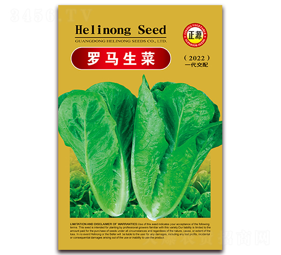 羅馬生菜（2022）-生菜種子-和利農(nóng)