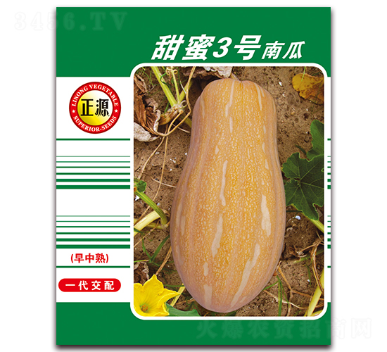 甜蜜3號(hào)南瓜（1055）-南瓜種子-和利農(nóng)