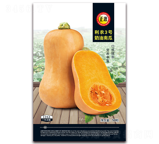 利農3號奶油南瓜（1253）-南瓜種子-和利農