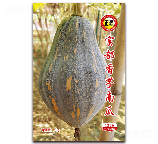 å¯Œéƒ½é¦™èŠ‹å—ç“œï¼ˆ1226ï¼‰-å—ç“œç¨®å­-å’Œåˆ©è¾²(nÃ³ng)