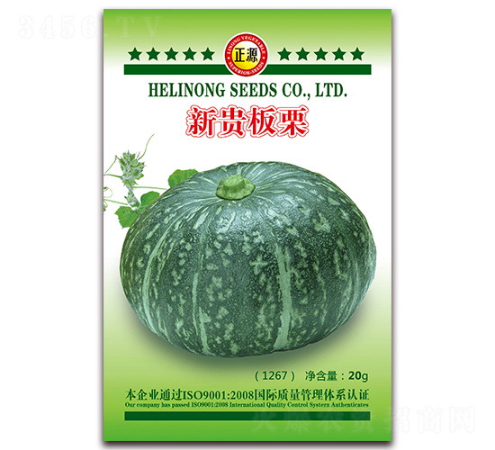 新貴板栗（1267）-南瓜種子-和利農(nóng)