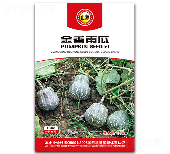 金香南瓜F1（1203）-南瓜種子-和利農