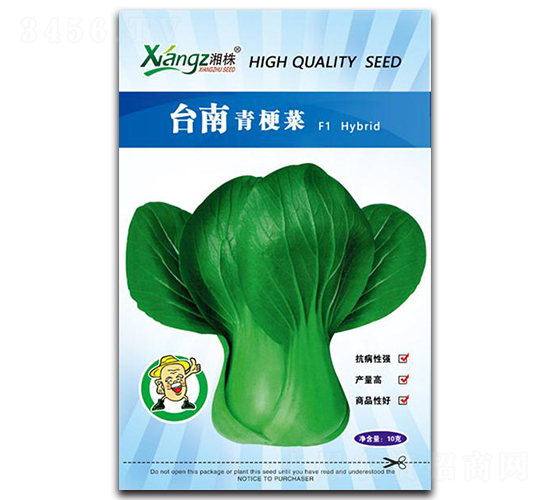 臺南青梗菜-青菜種子-湘蔬種業(yè)