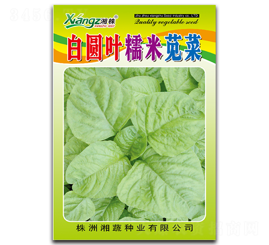 白圓葉糯米莧菜-莧菜種子-湘蔬種業(yè)