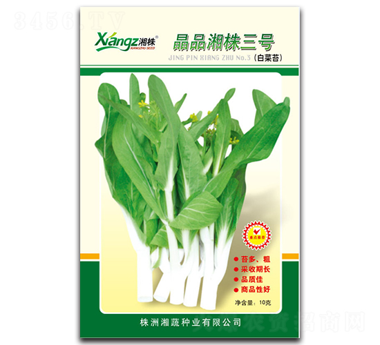 晶品湘株三號-菜苔種子-湘蔬種業(yè)