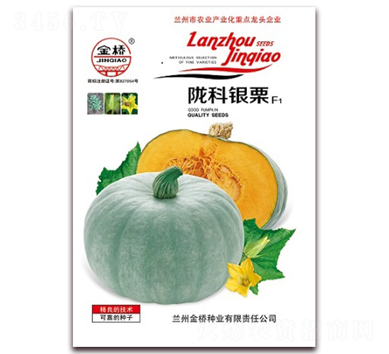隴科銀栗-南瓜種子-金橋種業(yè)