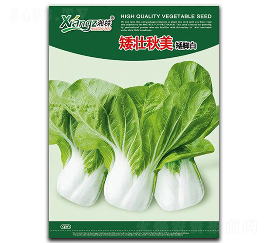 çŸ®å£¯ç§‹ç¾Ž-é’èœç¨®å­-æ¹˜è”¬ç¨®æ¥­(yÃ¨)