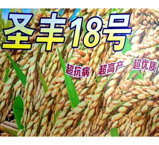 åœ£è±18è™Ÿ-æ°´ç¨»ç¨®å­-åšç§‘ç¨®æ¥­(yÃ¨)