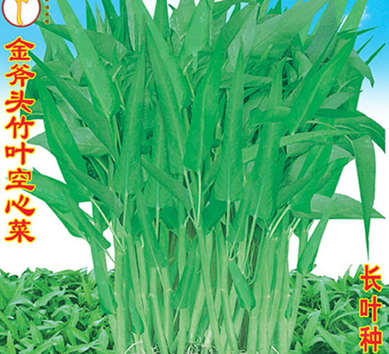 金斧頭竹葉空心菜-空心菜種子-萬(wàn)農(nóng)高科