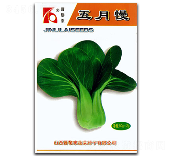 五月慢-油菜種子-晉黎來