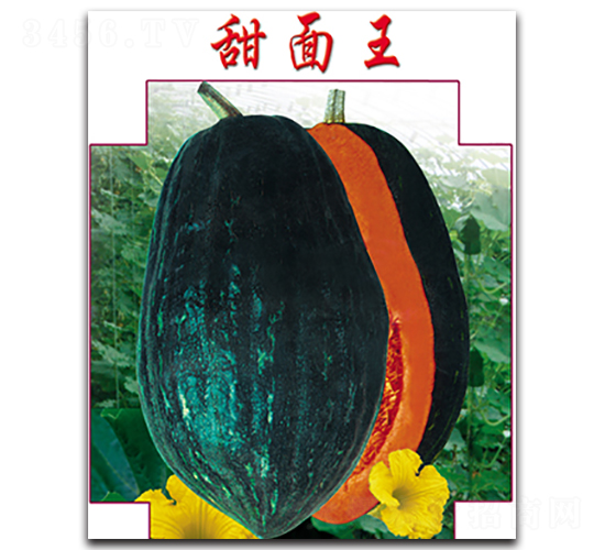 ç”œé¢çŽ‹-å—ç“œç¨®å­-æ™‰é»Žä¾†(lÃ¡i)