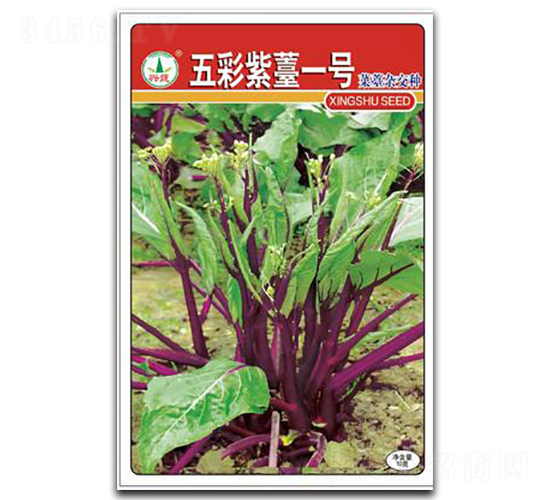 五彩紫薹1號(hào)-菜苔種子-興蔬種業(yè)