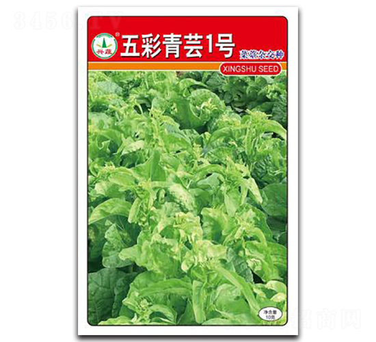 五彩青蕓1號(hào)-菜苔種子-興蔬種業(yè)