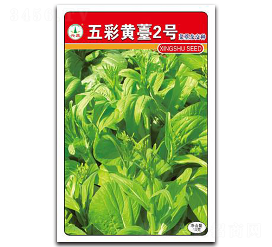五彩黃苔2號-菜苔種子-興蔬種業(yè)