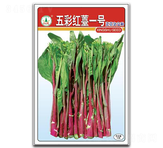 五彩紅苔1號-菜苔種子-興蔬種業(yè)