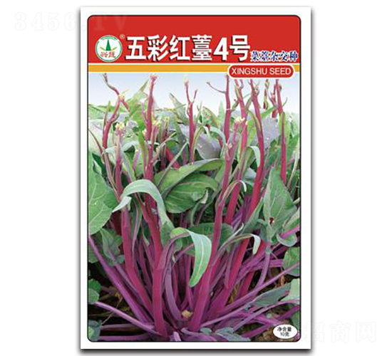 五彩紅薹四號(hào)-菜苔種子-興蔬種業(yè)