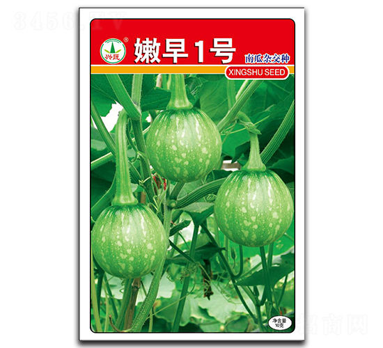 嫩早1號(hào)-南瓜種子-興蔬種業(yè)