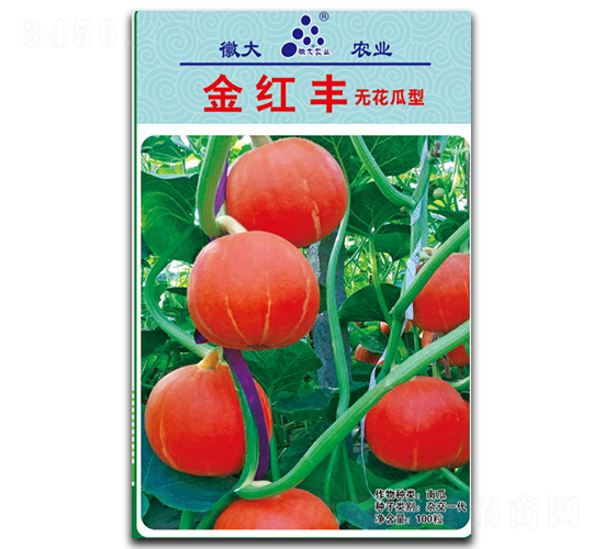 é‡‘ç´…è±-å—ç“œç¨®å­-å¾½å¤§è¾²(nÃ³ng)æ¥­(yÃ¨)