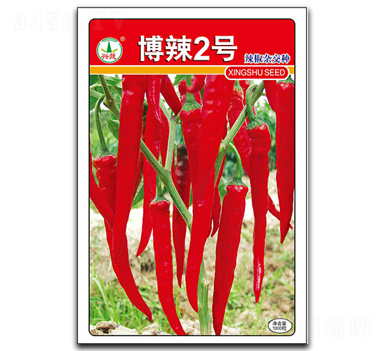 博辣2號-辣椒種子-興蔬種業(yè)