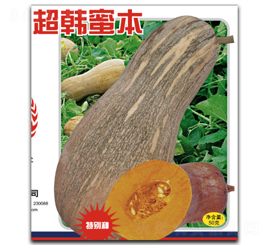 超韓密本南瓜-南瓜種子-徽大農(nóng)業(yè)