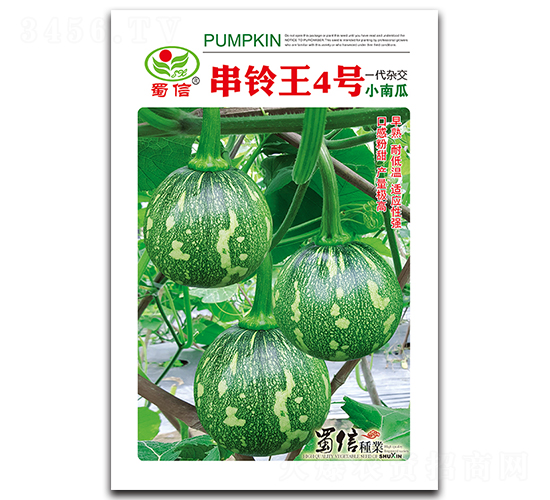 串鈴?fù)?號(hào)-南瓜種子-蜀信種業(yè)