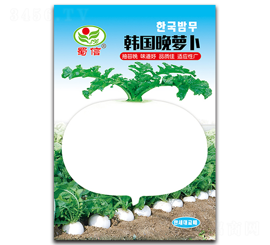 韓國晚蘿卜-蘿卜種子-蜀信種業(yè)