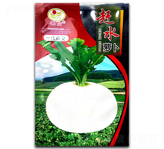 趕水蘿卜-蘿卜種子-蜀信種業(yè)