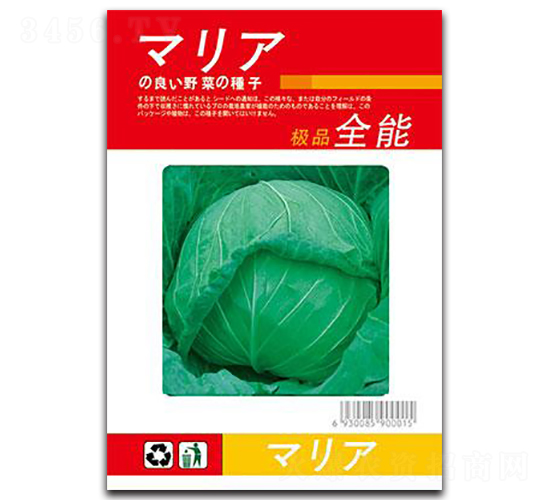 全能甘藍-甘藍種子-邢研種業(yè)