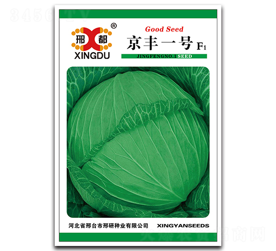 京豐一號-甘藍(lán)種子-邢研種業(yè)