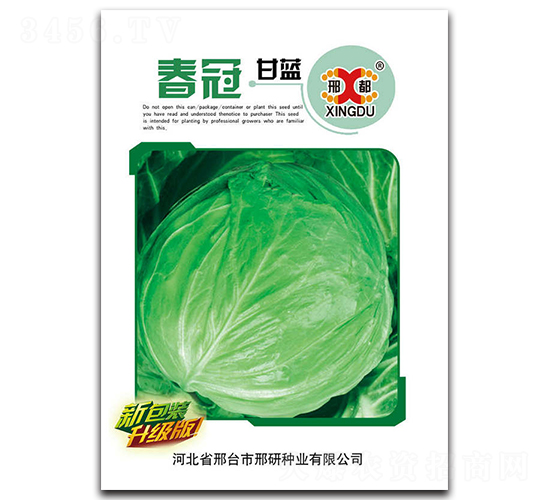 春冠-甘藍(lán)種子-邢研種業(yè)