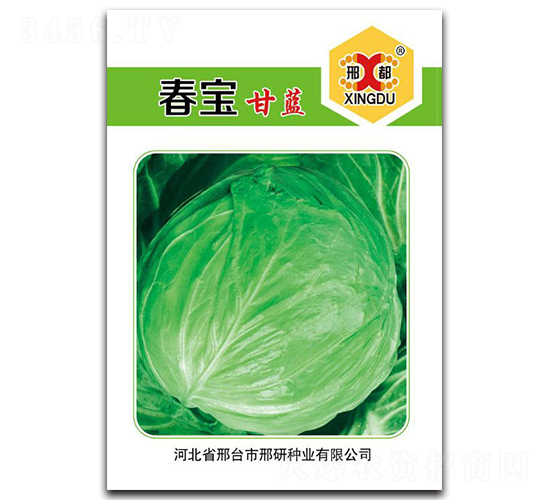 春寶-甘藍(lán)種子-邢研種業(yè)