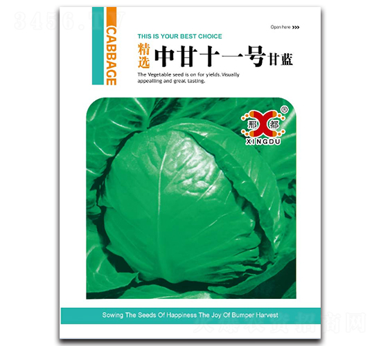 中甘十一-甘藍(lán)種子-邢研種業(yè)