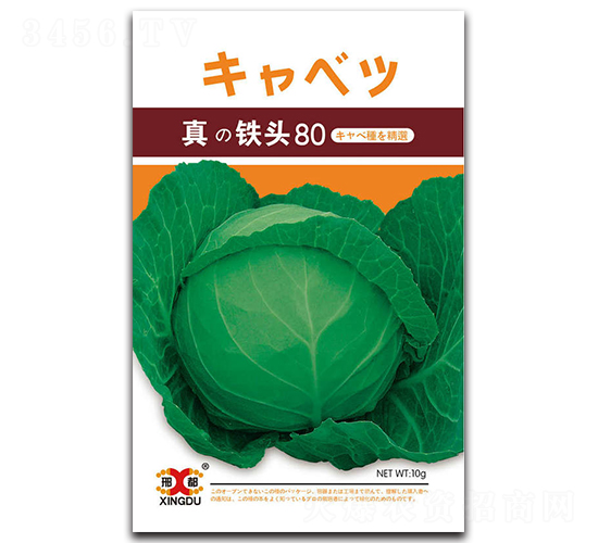 真鐵頭80-甘藍(lán)種子-邢研種業(yè)