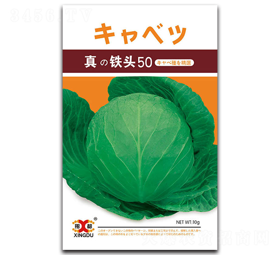 真鐵頭50-甘藍(lán)種子-邢研種業(yè)