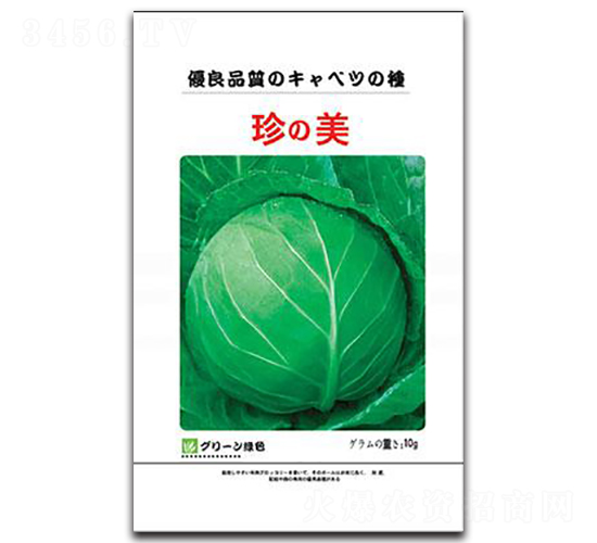 珍美-甘藍種子-邢研種業(yè)