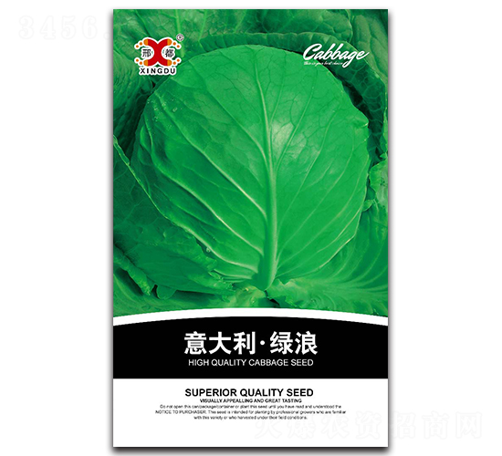 æ„å¤§åˆ©ç¶ æµª-ç”˜è—ç¨®å­-é‚¢ç ”ç¨®æ¥­(yÃ¨)