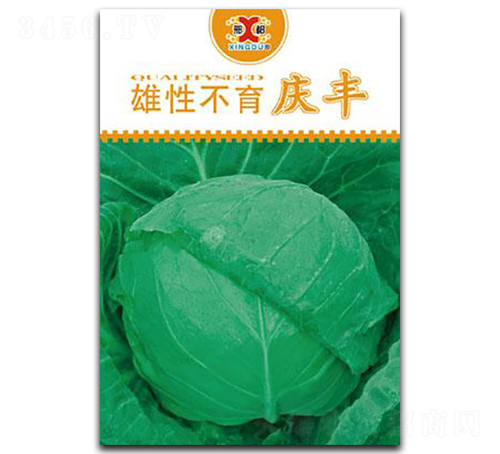雄性不育慶豐-甘藍種子-邢研種業(yè)