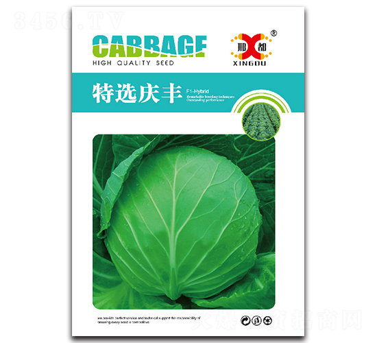 特選慶豐-甘藍(lán)種子-邢研種業(yè)