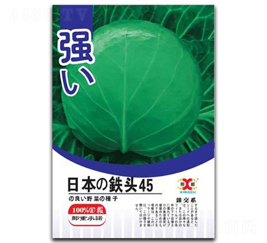 日本鐵頭45-甘藍(lán)種子-邢研種業(yè)